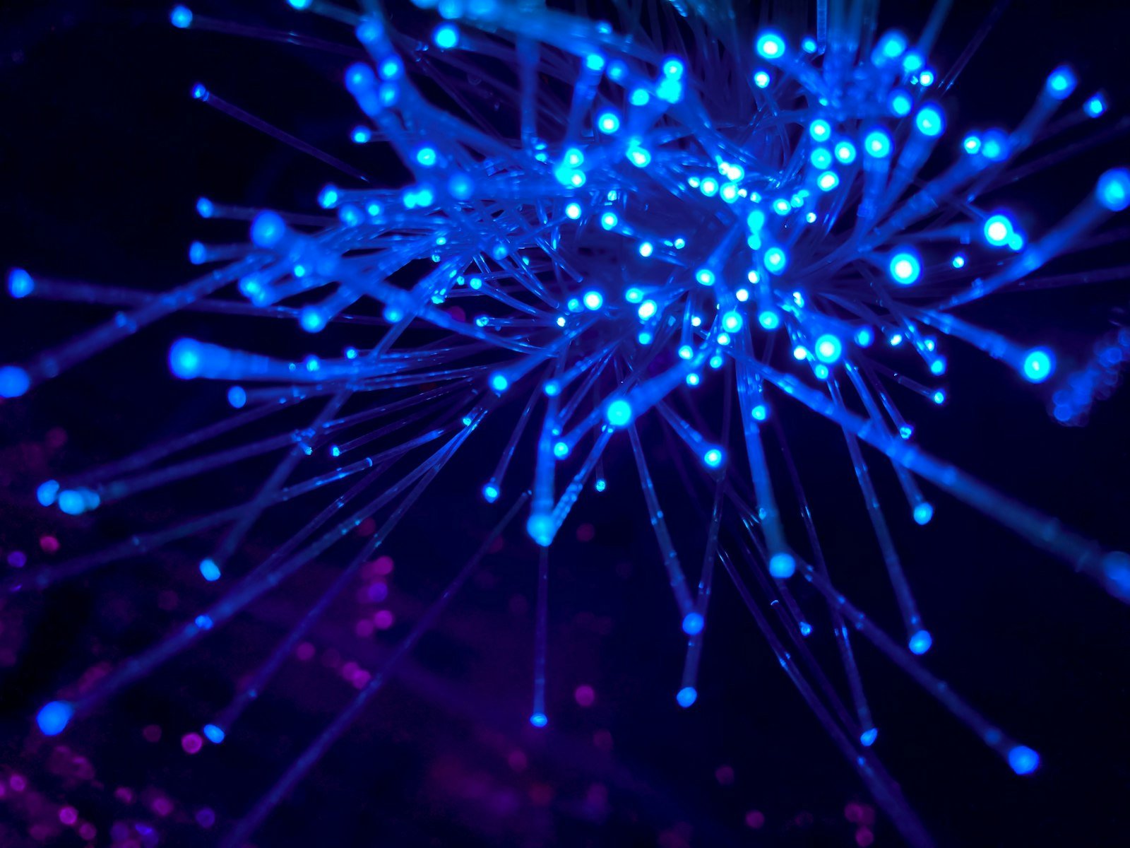 Blue glowing fibre optic strands